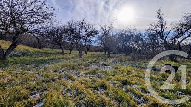 maison à vendre - 6 pièces - 122.85 m2 - ST BONNET EN CHAMPSAUR - 05 - PROVENCE-ALPES-COTE-D-AZUR - Century 21 Interalpes